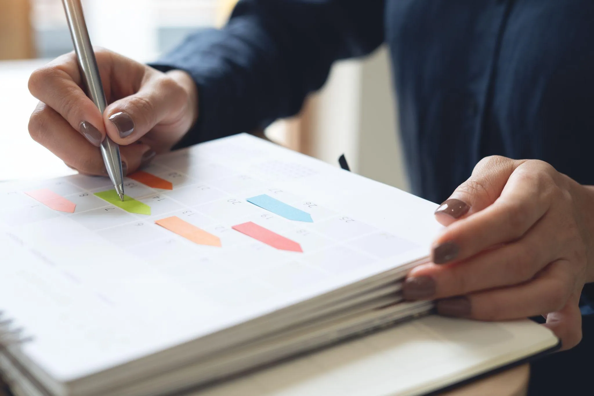 エコー検査はいつから始まる？