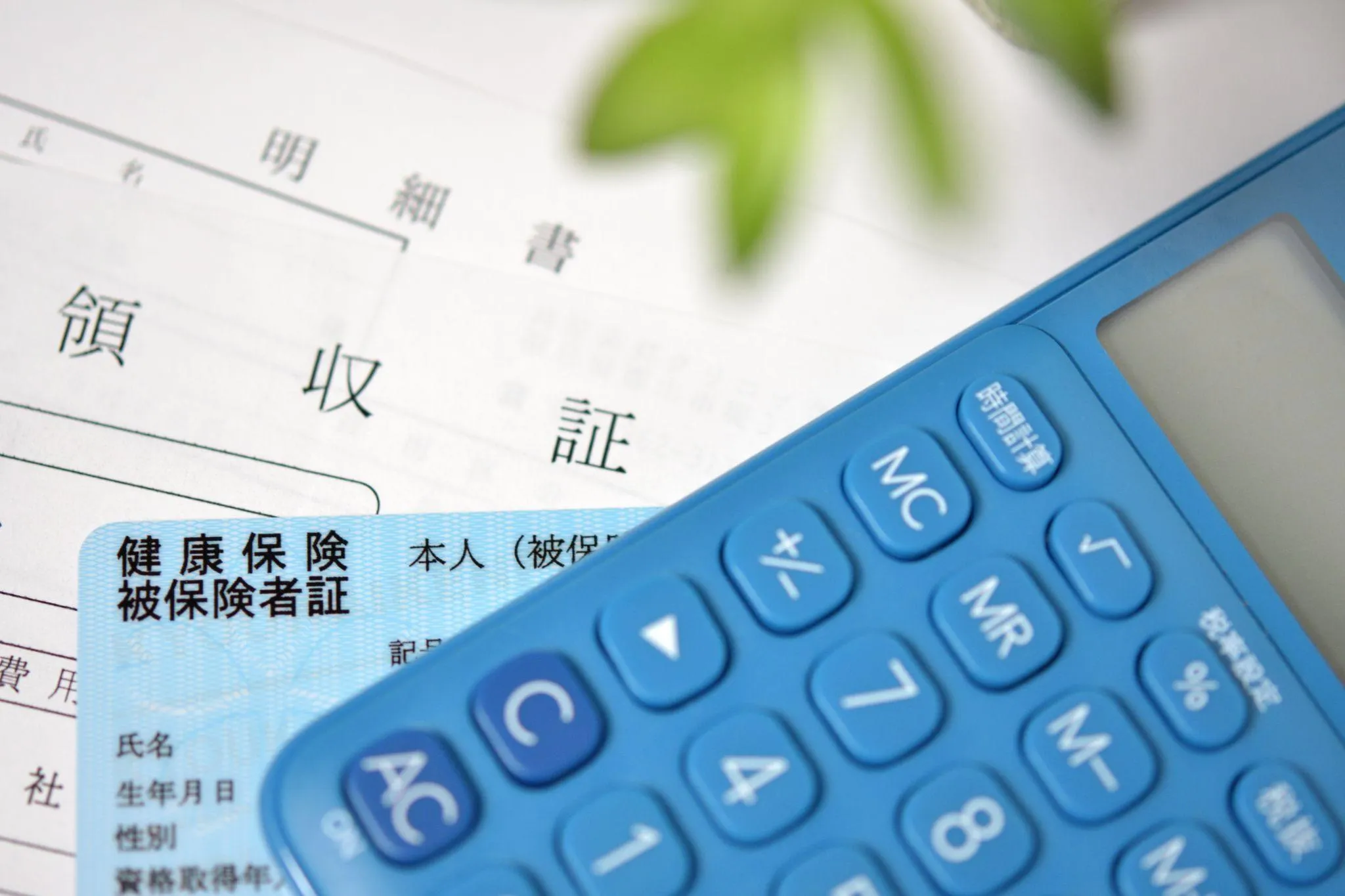 エコー検査の費用